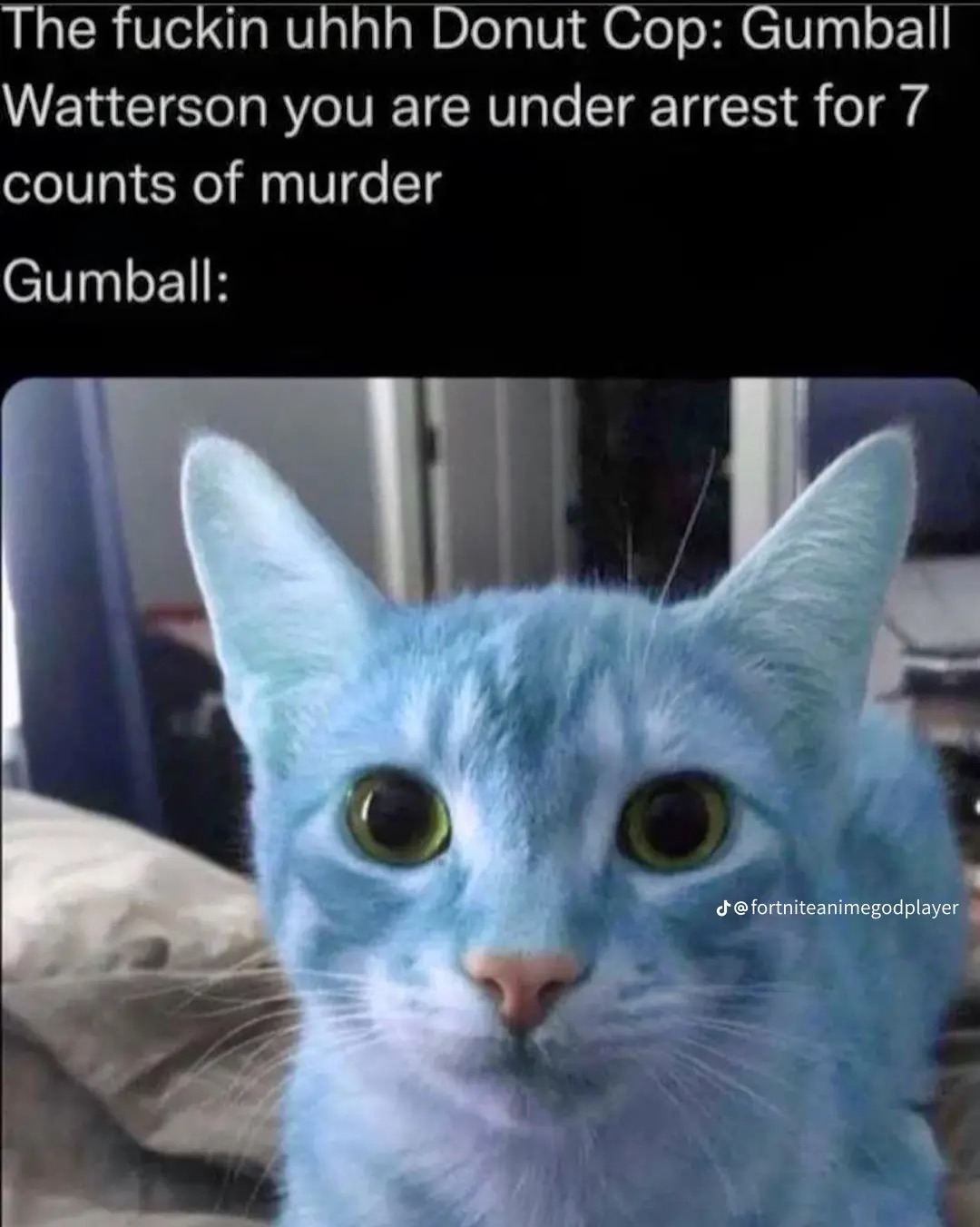 Dindu - Meme by CrazyMemer213 :) Memedroid