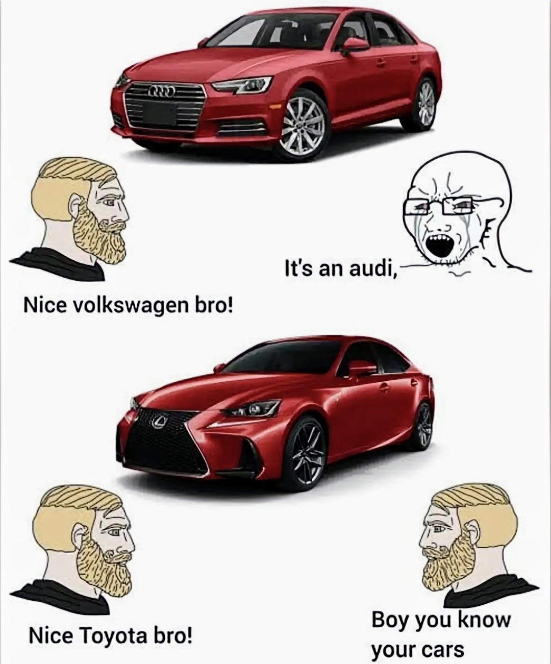 "Car guys" who only respect a single brand are entertaining - meme