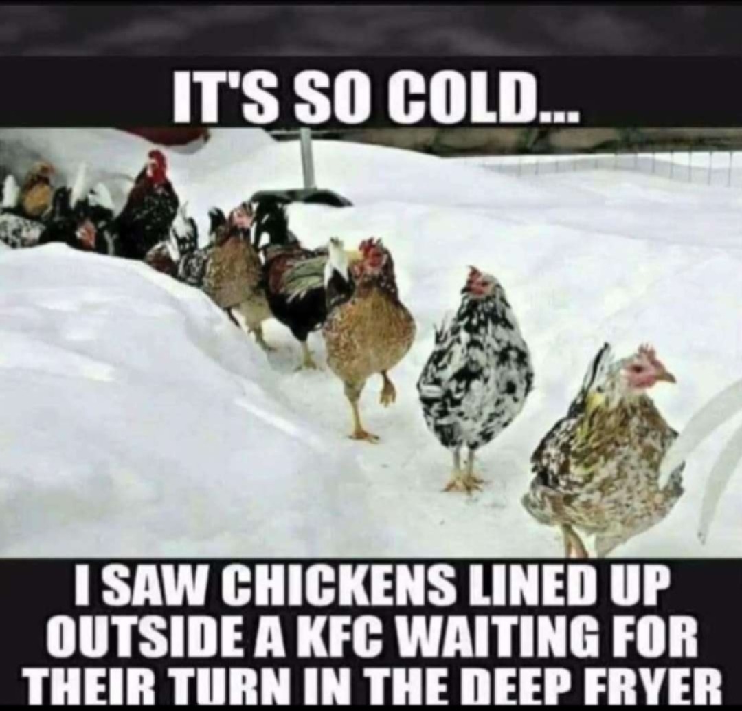 Baby, it's cold outside - meme