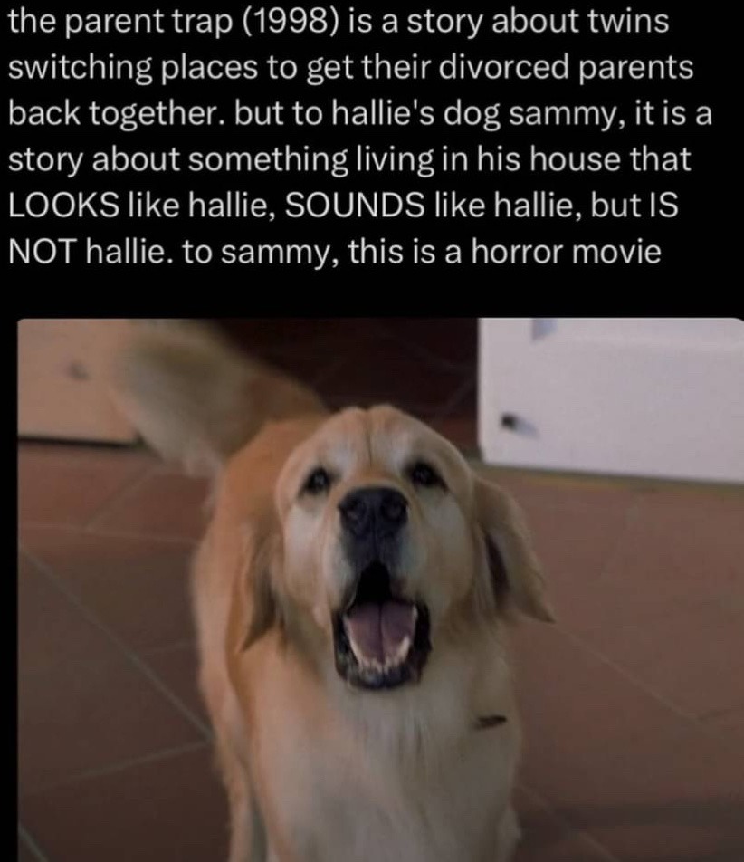 Sammy - meme
