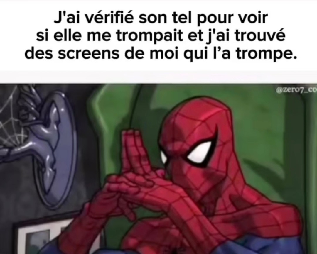 J’l’ai trompée et c’est son tel qui me l’a dit - meme