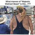 The chronicles of Wal-Mart