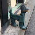 Shoe doggo