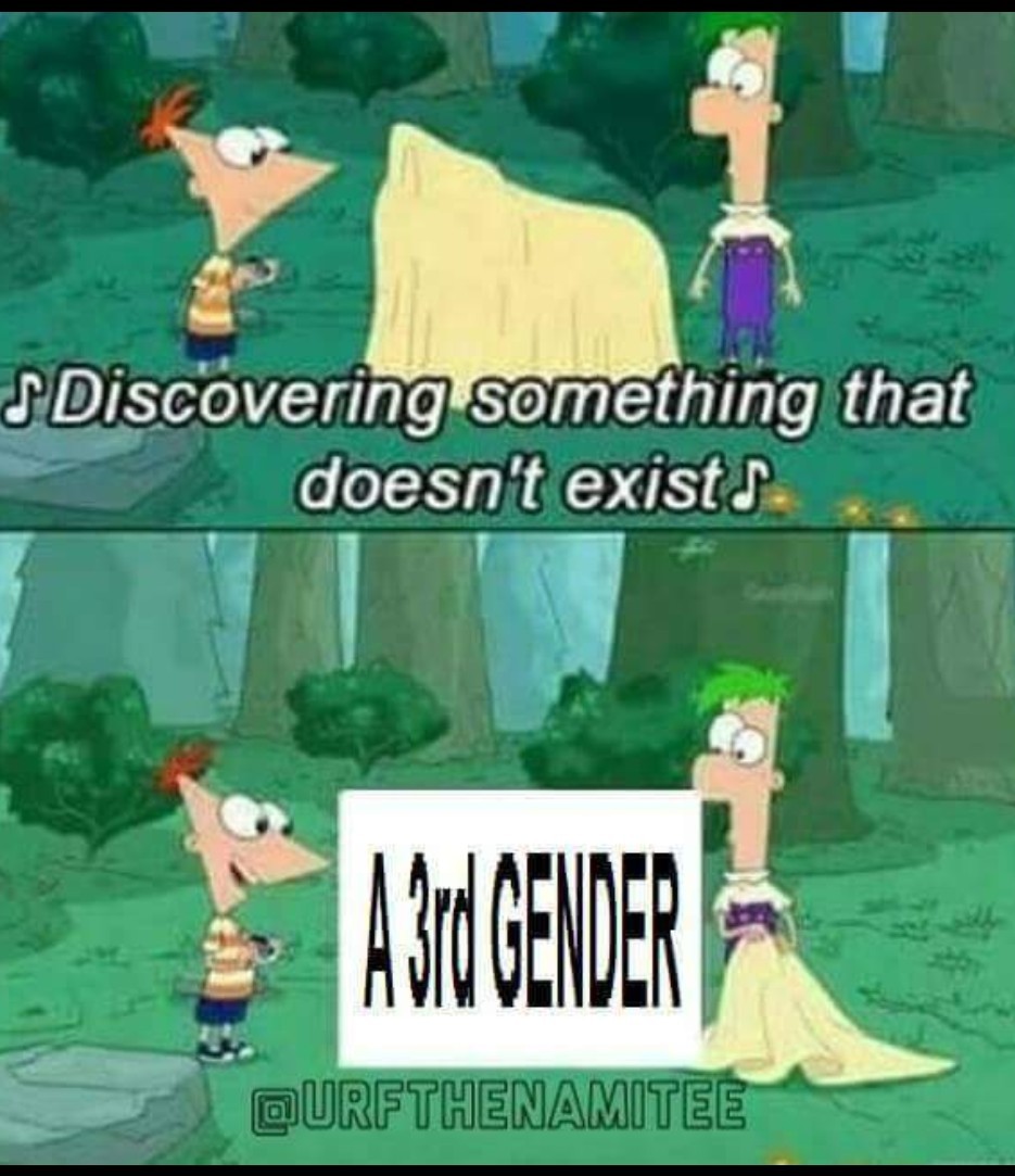 I sexually identify as an attack helicopter - meme
