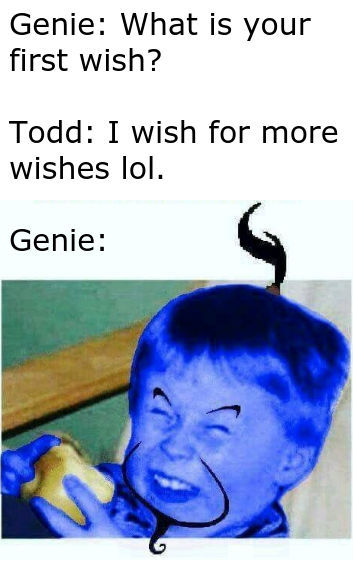 What is your fisrt wish? - meme