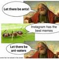Let there be ants