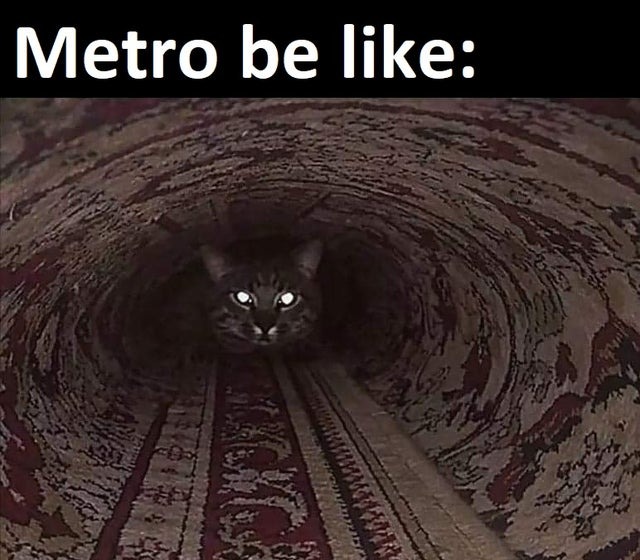 Cat subway - meme