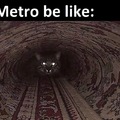 Cat subway
