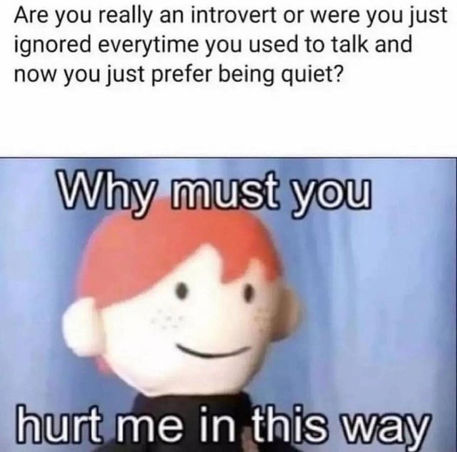 are you an introvert or were you forced to be one? - meme