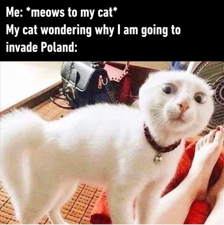 I like invading poland - meme