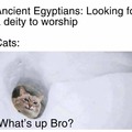 Cats were sacred to them