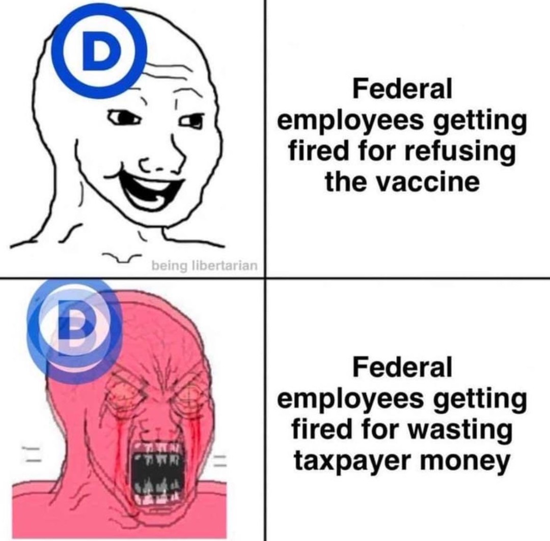 Libs gonna lib - meme