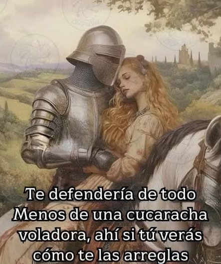 Te defiendo de todo menos de una cucaracha voladora, ahí ya es tu pelea - meme