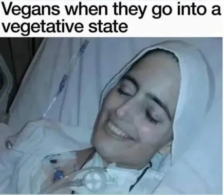 Feels wrong posting this, but I'm already going to Hell so WTF - meme