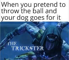 The trickster - meme