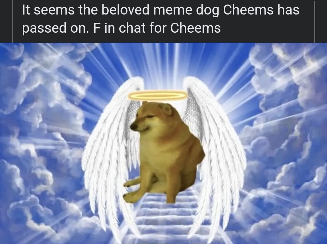 RIP you Legendary Doggo. - meme