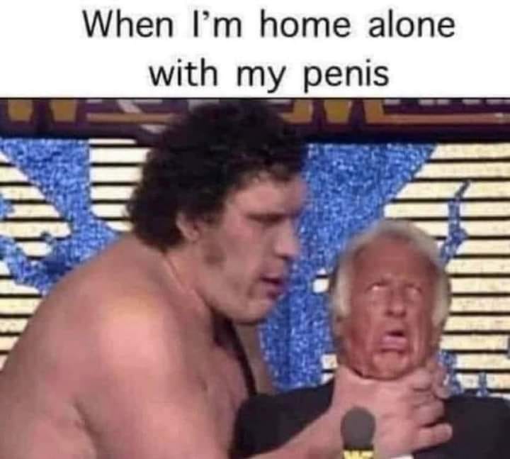 Home Alone - meme