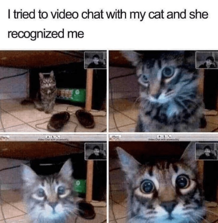 O _ O - meme