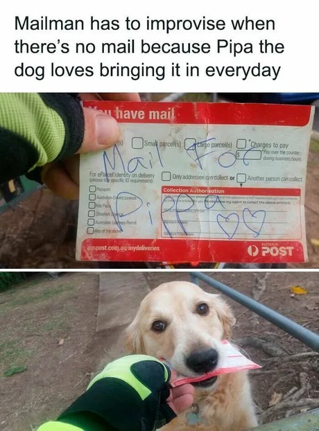 Mail for Pippa - meme
