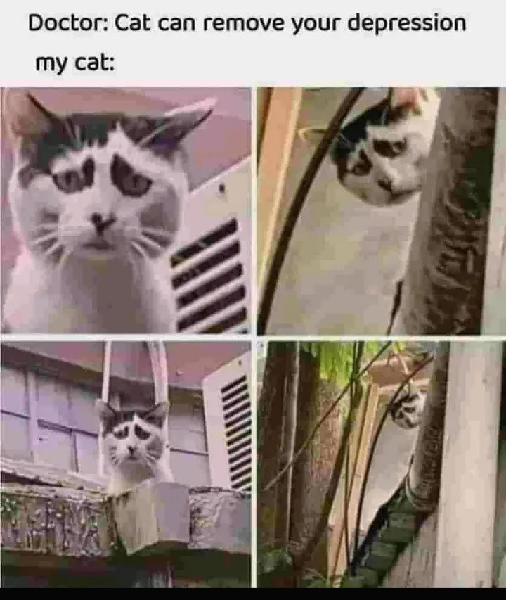  - meme