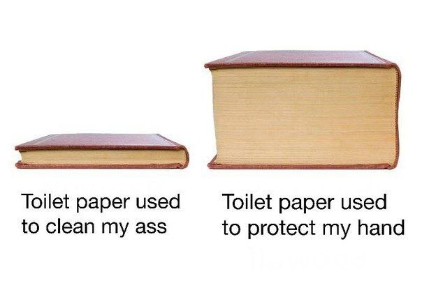 Toilet paper protects your hand, not your dignity - meme