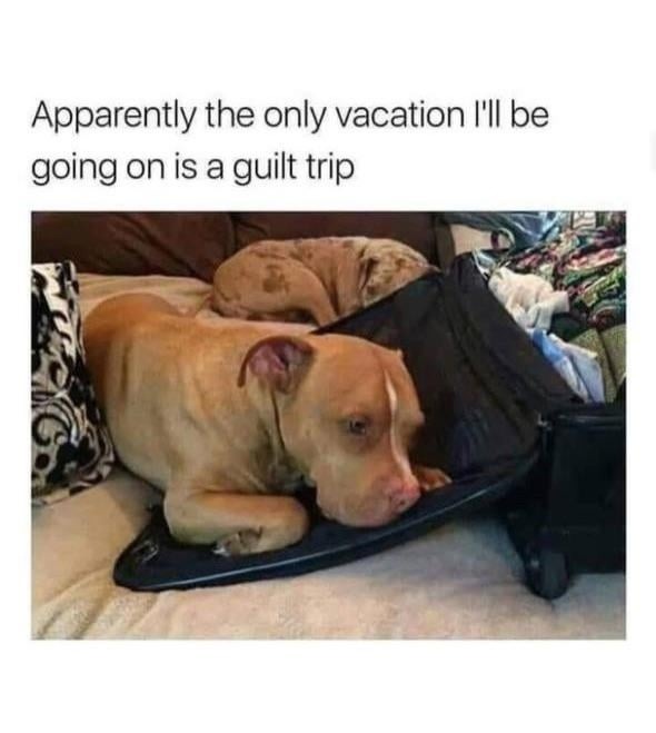 Only vacation I’m going on is the guilt trip deluxe - meme