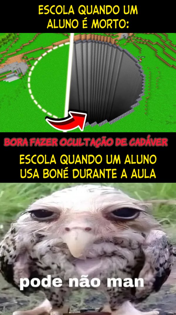 Pode não man - meme