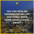 underwater Google maps