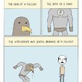 adventures of falcon man