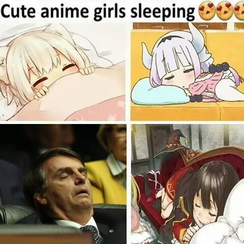Garotas fofas de anime dormindo - meme