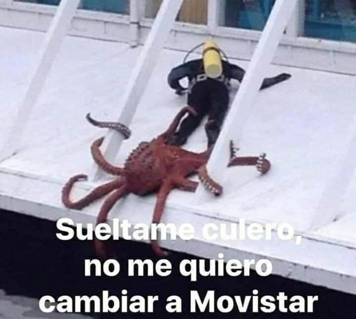 Movistar - meme