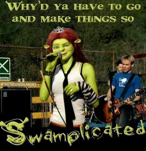 What are you doing in my swamp - meme