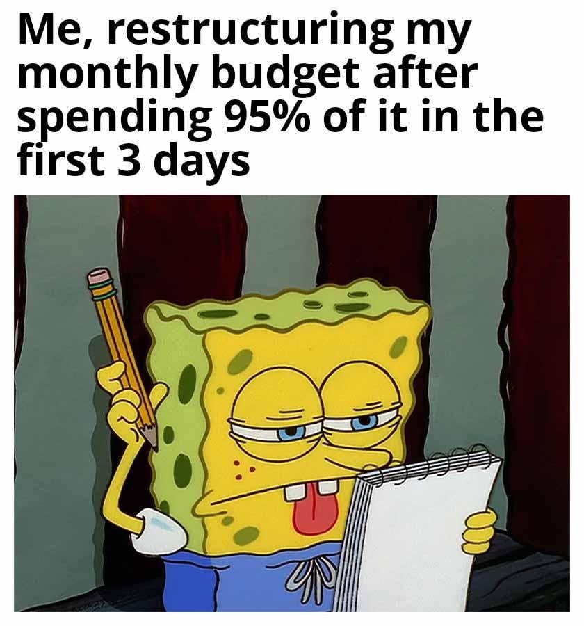 Monthly budget - meme