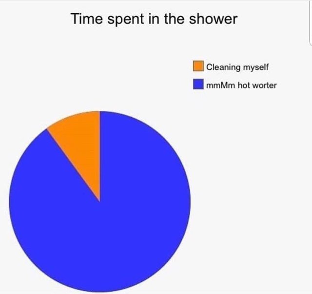 Piechart: time spent in the shower - meme