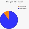Piechart: time spent in the shower