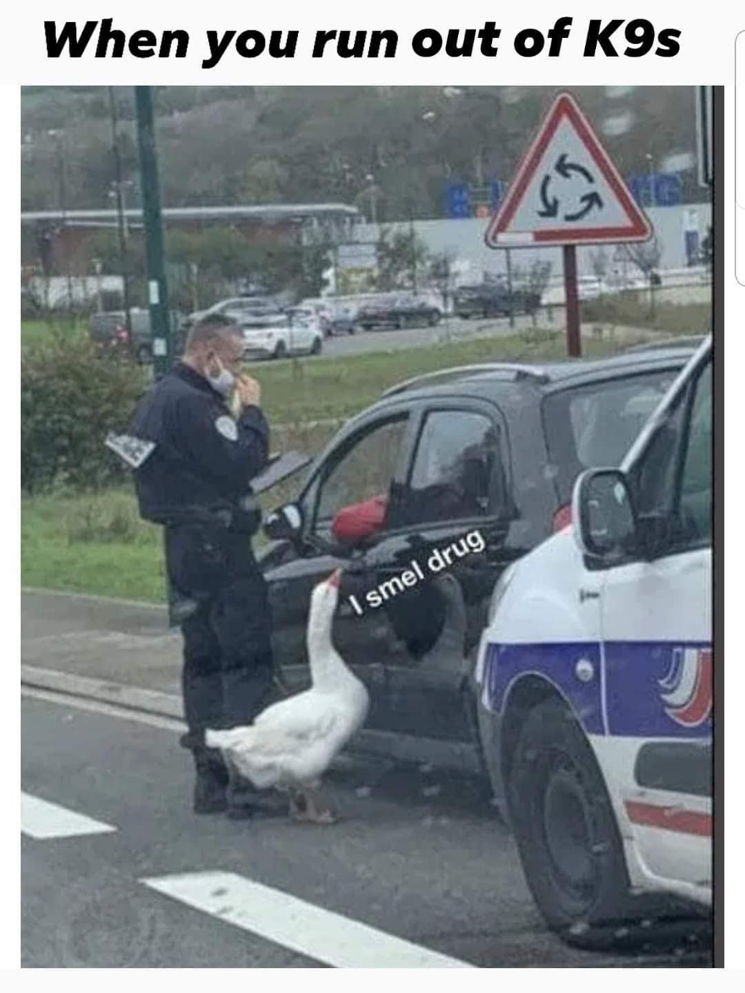 French police be like - meme