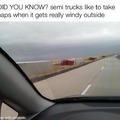 Did you know? Semi trucks like to take naps when it gets really windy outside