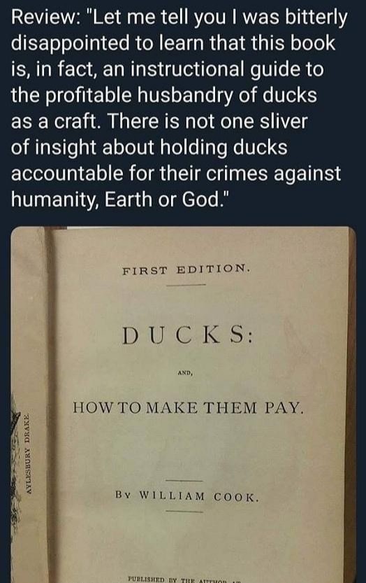 Ducks, and how to make them pay - meme