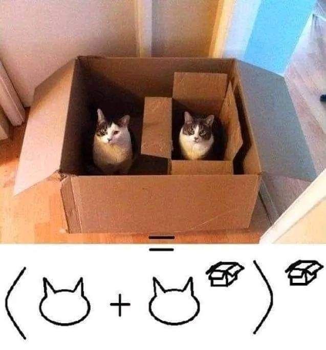box equation - meme
