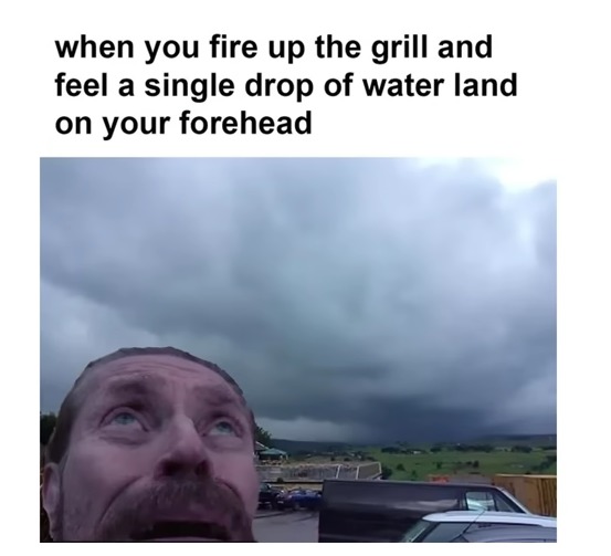 Dads grilling be like: - meme