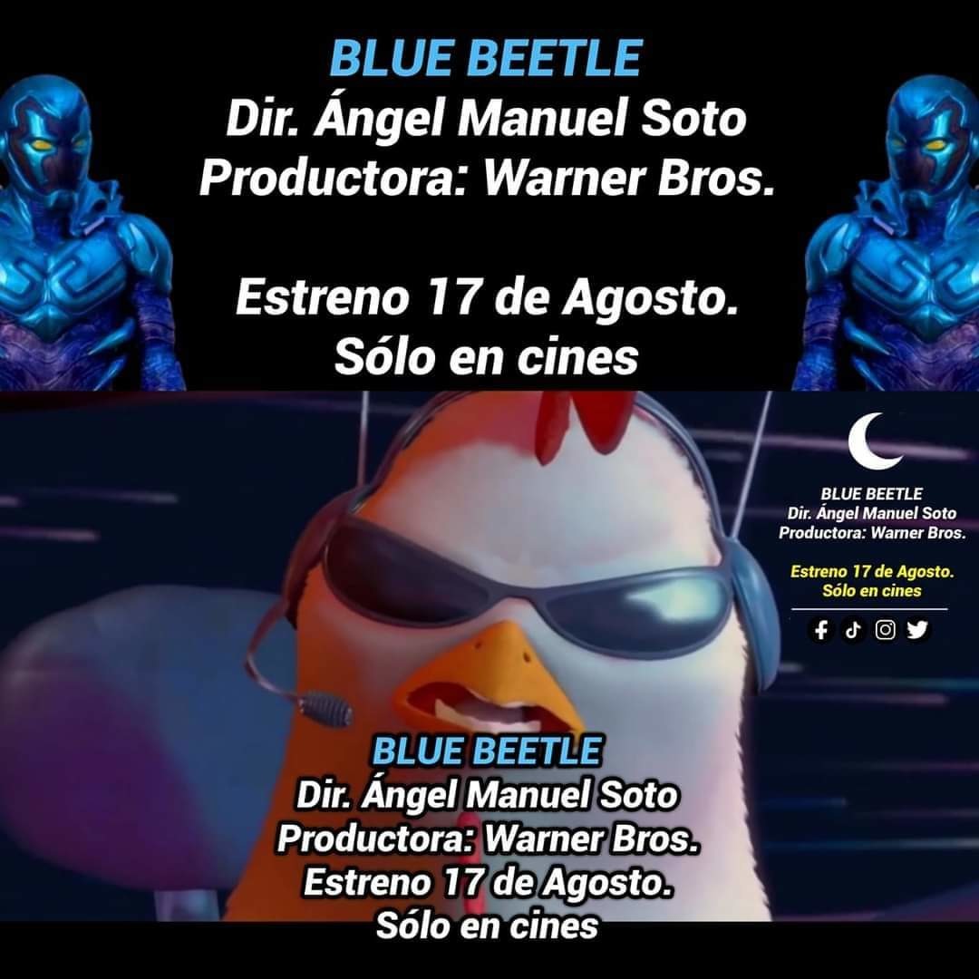 blue beetle - meme