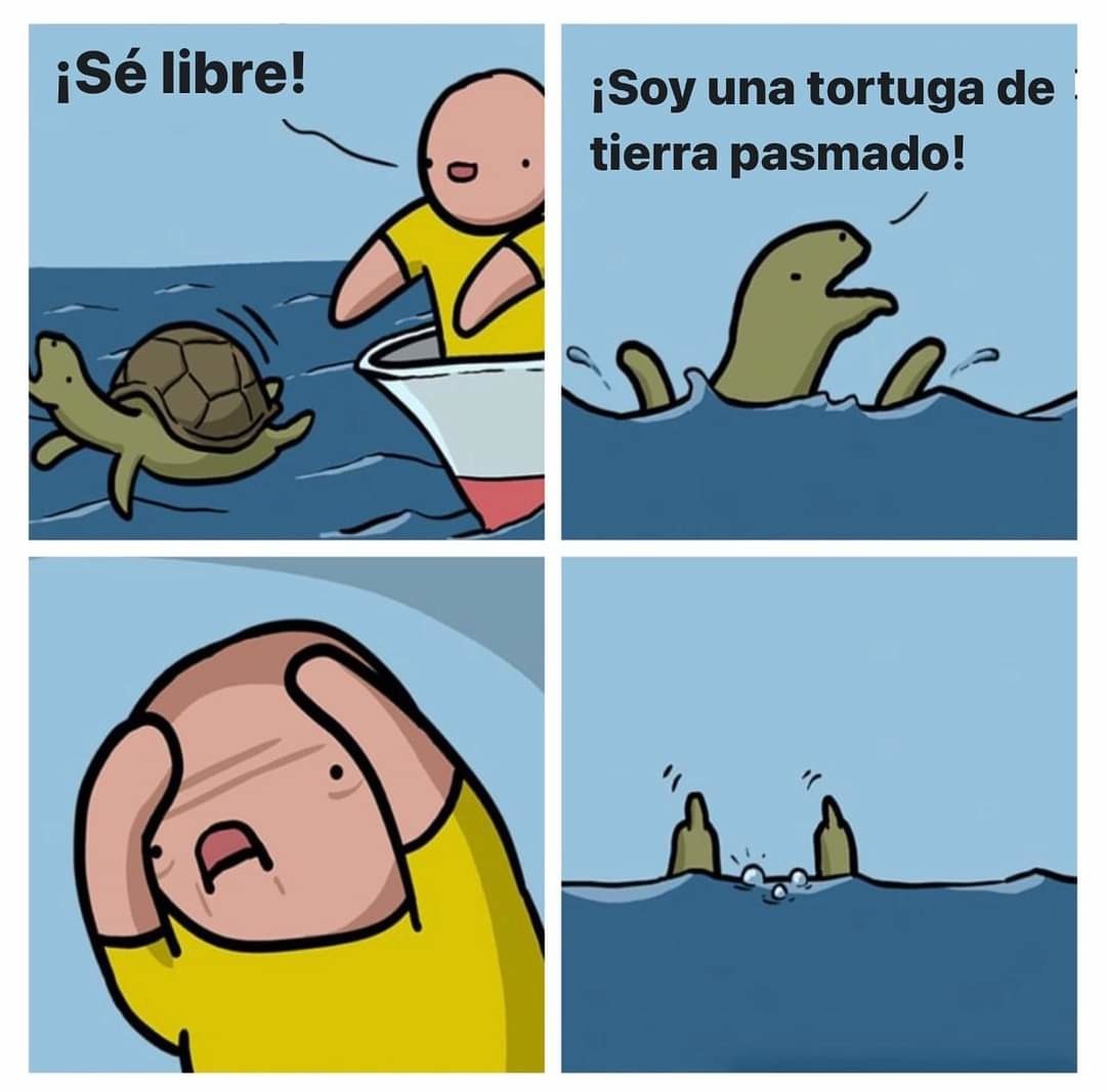 Free turtles! - meme