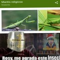 Mantis Religiosa