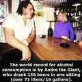 He drank 119 beer bottles of 12 ounces (355ml)