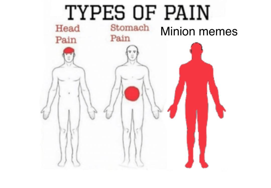 Minion memes make me feel so much pain