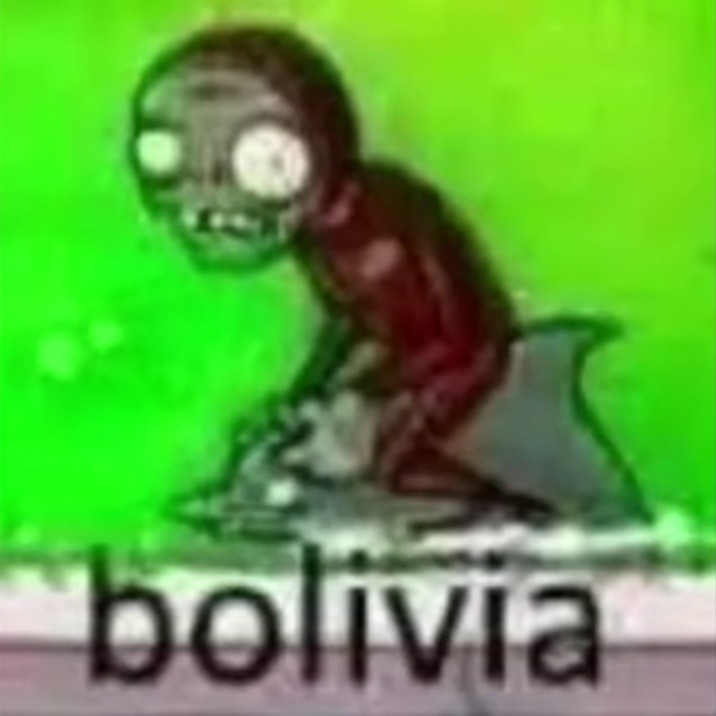 Bolivia salavrga - meme