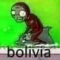 Bolivia salavrga