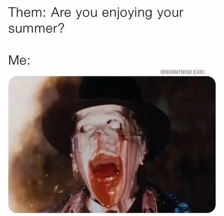 The heat enjoyer - meme