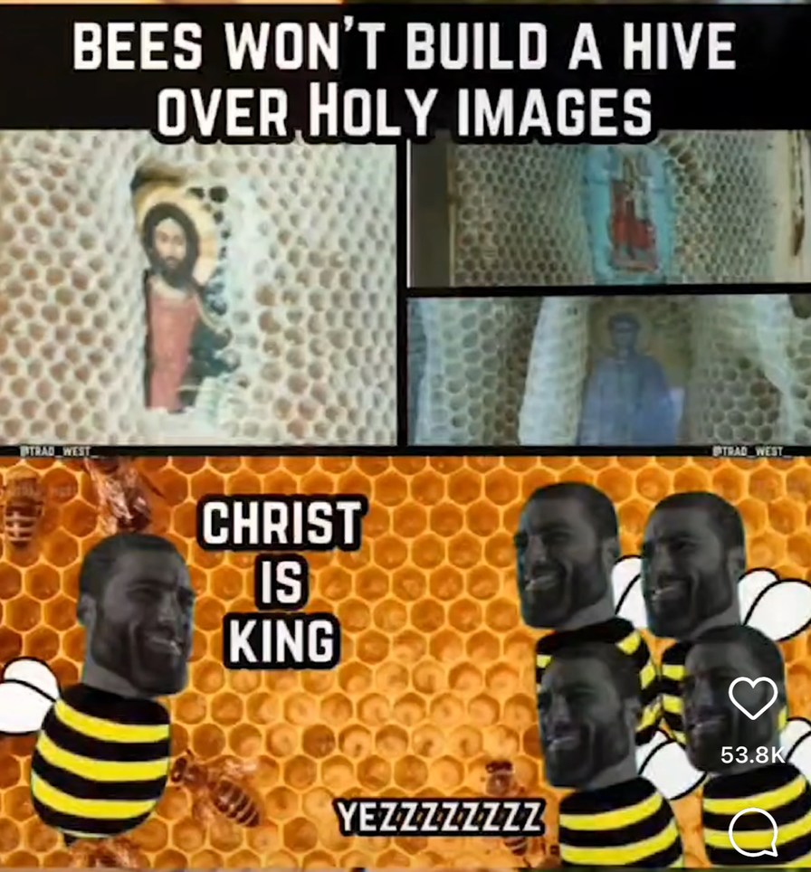 All creation sings God’s praise - meme