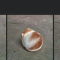 commented item thumbnail